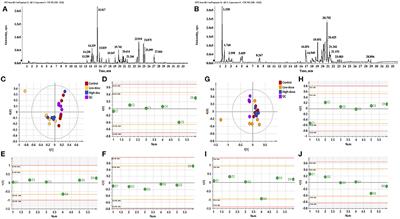 Study on the mechanism of cadmium chloride pollution accelerating skin tissue metabolism disorder, aging and inhibiting hair regeneration